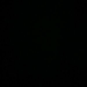 Meet your Posher, Davonne